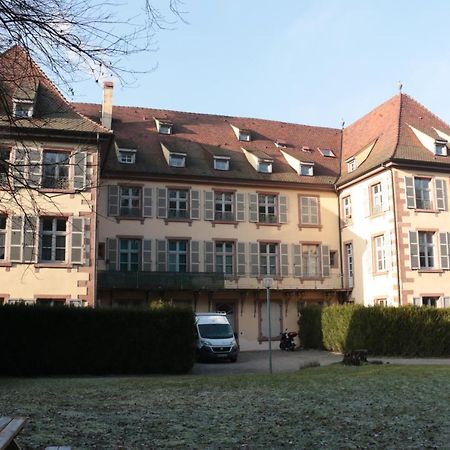 Le Tricotin Gite 2-4 Personnes Sainte-Marie-aux-Mines Esterno foto