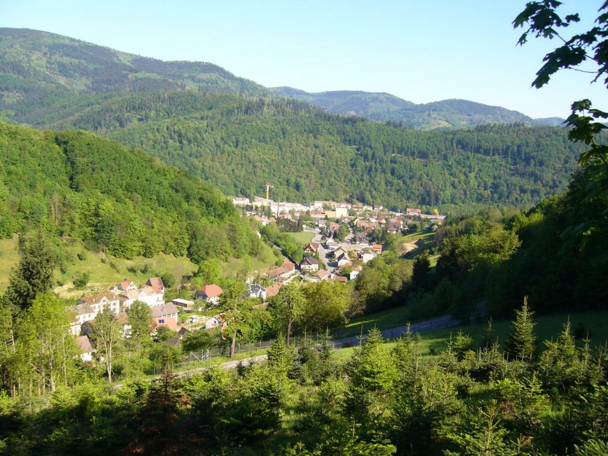Le Tricotin Gite 2-4 Personnes Sainte-Marie-aux-Mines Esterno foto